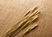 Wheat on hessian cloth
